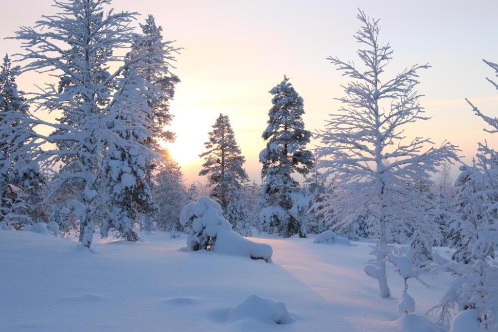 Kielo In Center Near All The Main Spots Rovaniemi Exterior photo