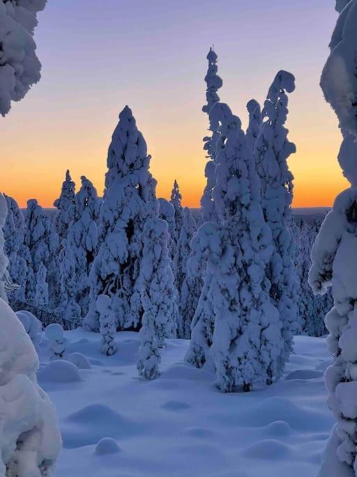 Kielo In Center Near All The Main Spots Rovaniemi Exterior photo